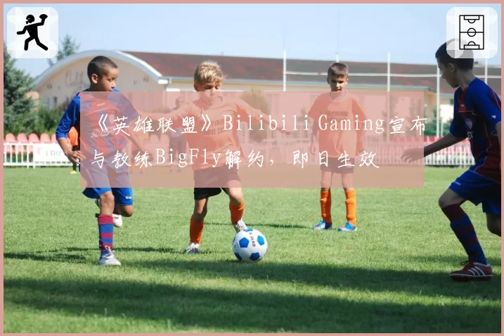 《英雄联盟》Bilibili Gaming宣布与教练BigFly解约，即日生效